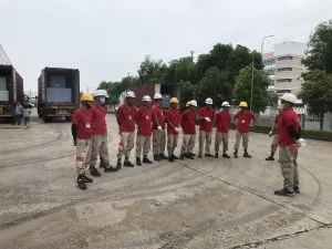 Đội ngũ công nhân bốc xếp nâng hạ hàng hóa chuyên nghiệp tại bốc xếp tại Hải Phòng (giải pháp tối ưu chi phí và hiệu quả cao) - Thành Nguyên