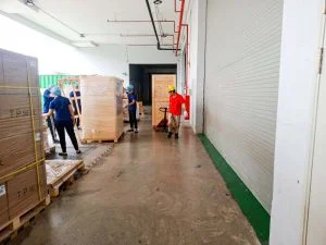 Đội ngũ công nhân bốc xếp nâng hạ hàng hóa chuyên nghiệp tại bốc xếp tại Hải Phòng (đảm bảo kỹ thuật và tiến độ cho doanh nghiệp) - Thành Nguyên