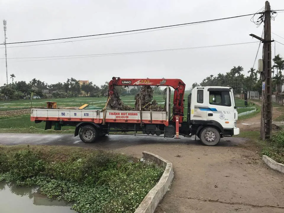 Công ty cho thuê xe cẩu tại Hải Phòng - Dịch vụ Thành Nguyên Hải Phòng